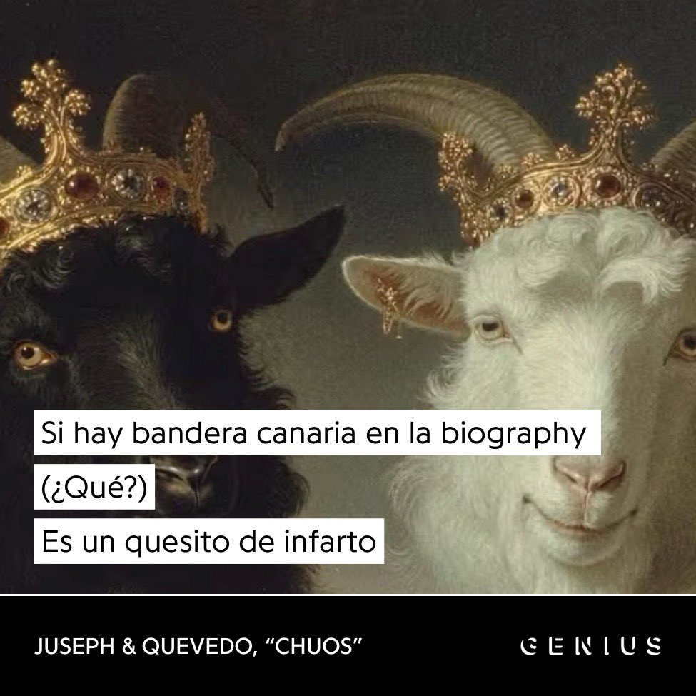 elputero tweet media