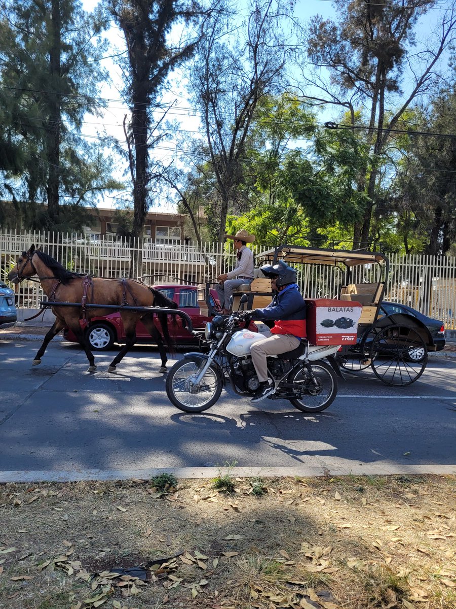 roddgo's tweet image. Aguascalientes no es un rancho.

- Aguascalientes: