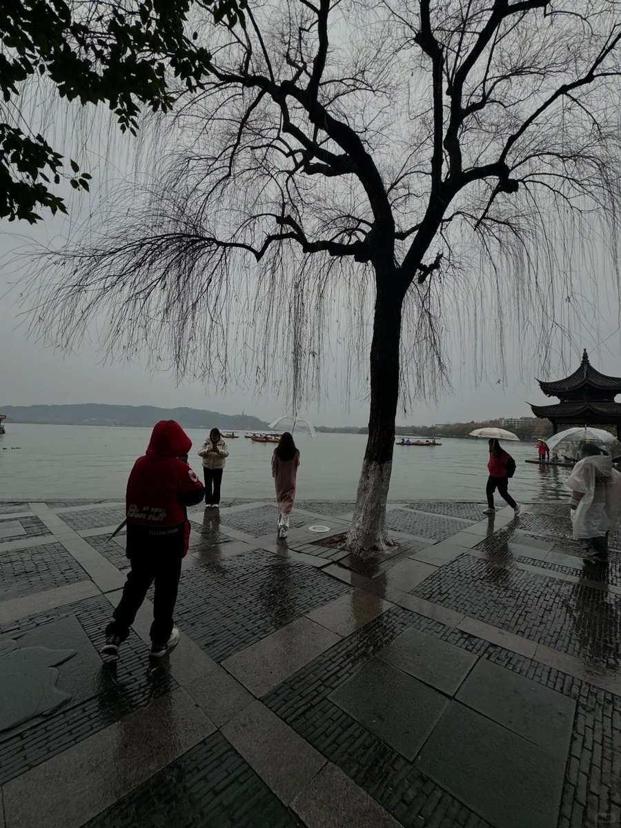 salaminaariel's tweet photo. ☔🍁 Lost in the rhythm of the autumn rain, every drop dancing on the earth like a melody. 🌬️💧Under my umbrella, I feel the magic of fall surrounding me, soft, calm, and full of wonder. 💛 https://t.co/tn8djvXyOc