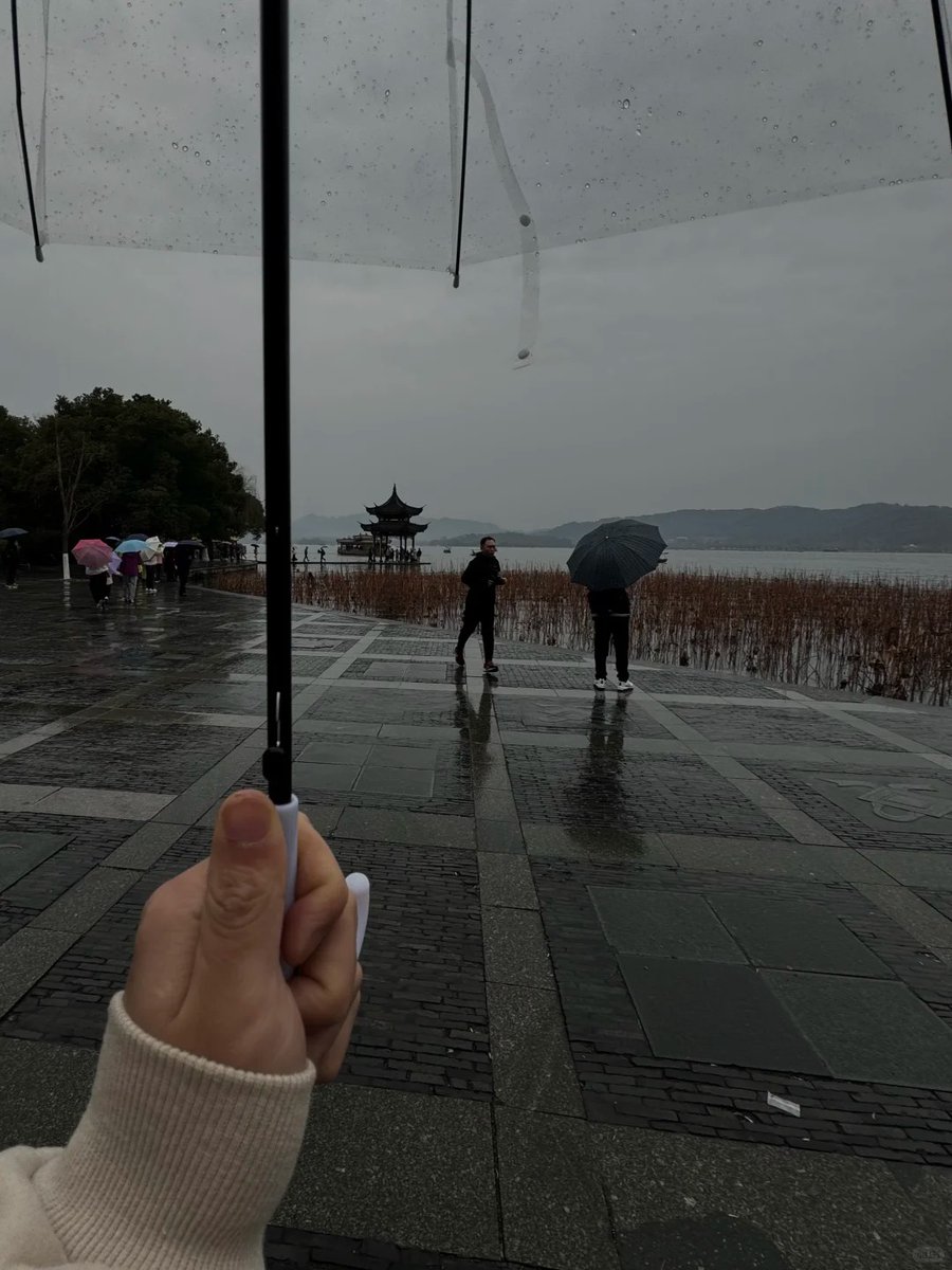 salaminaariel's tweet photo. ☔🍁 Lost in the rhythm of the autumn rain, every drop dancing on the earth like a melody. 🌬️💧Under my umbrella, I feel the magic of fall surrounding me, soft, calm, and full of wonder. 💛 https://t.co/tn8djvXyOc