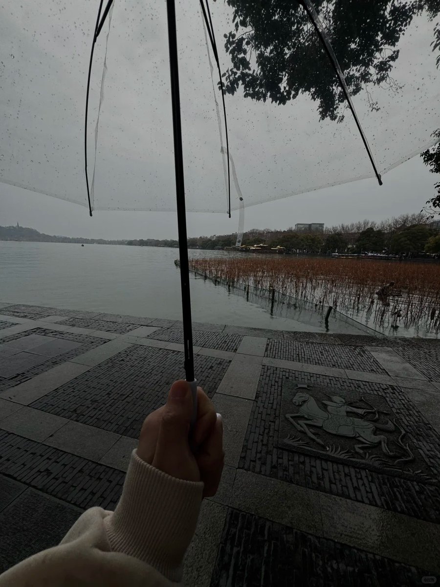 salaminaariel's tweet photo. ☔🍁 Lost in the rhythm of the autumn rain, every drop dancing on the earth like a melody. 🌬️💧Under my umbrella, I feel the magic of fall surrounding me, soft, calm, and full of wonder. 💛 https://t.co/tn8djvXyOc
