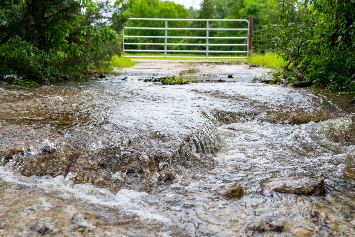 Texans, stay prepared ahead of storms! State emergency response resources are available to support local storm response operations under direction of the governor. Learn more: spectrumlocalnews.com/tx/austin/news…

Find resources to stay weather-ready at texashelp.tamu.edu/disaster-resou…