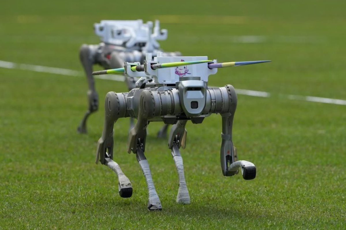 ShanghaiEye's tweet image. From #humanoidrobots to #roboticdogs, technology is integrated with China&apos;s 15th #NationalGames, easing manual work and showing what the future holds.