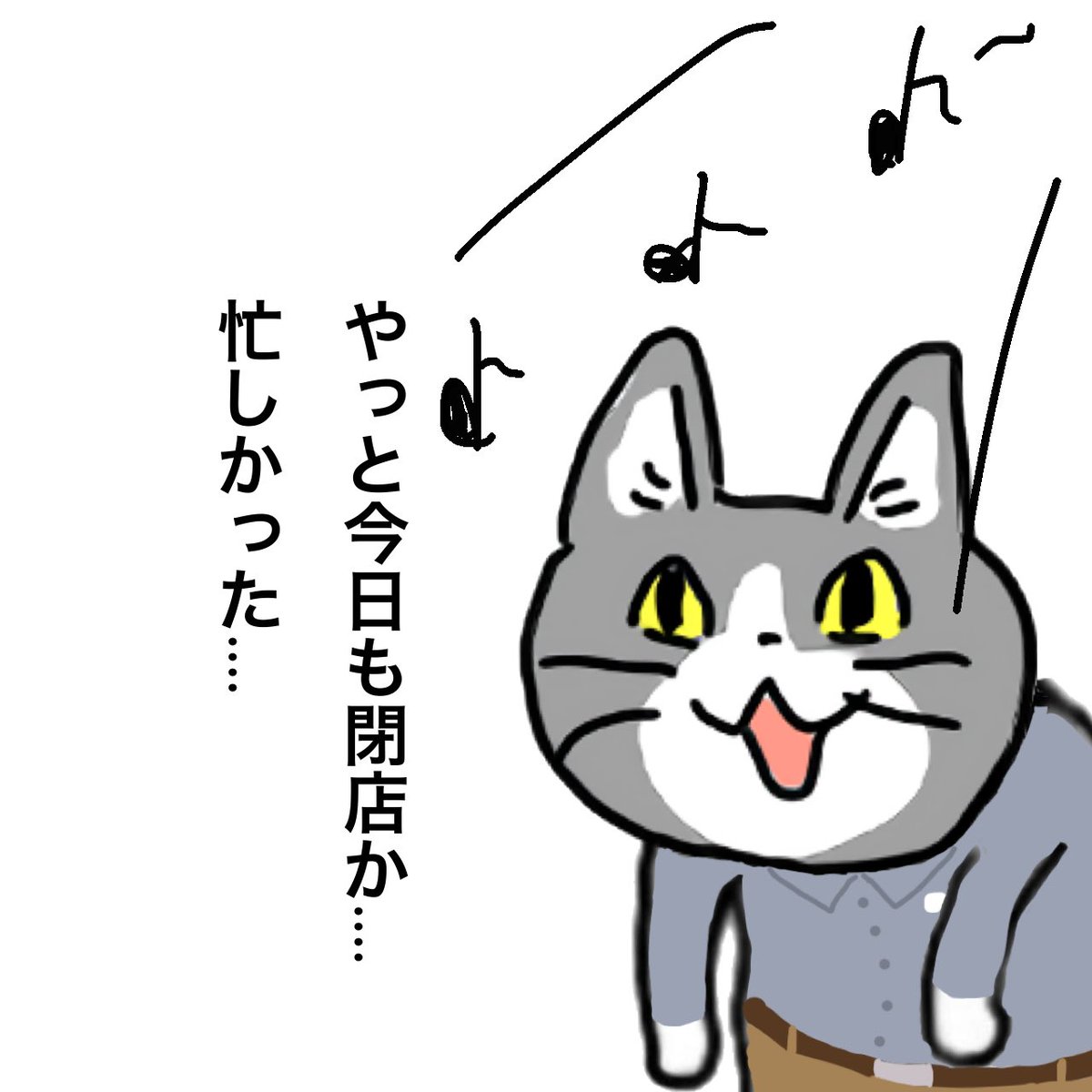 現場猫