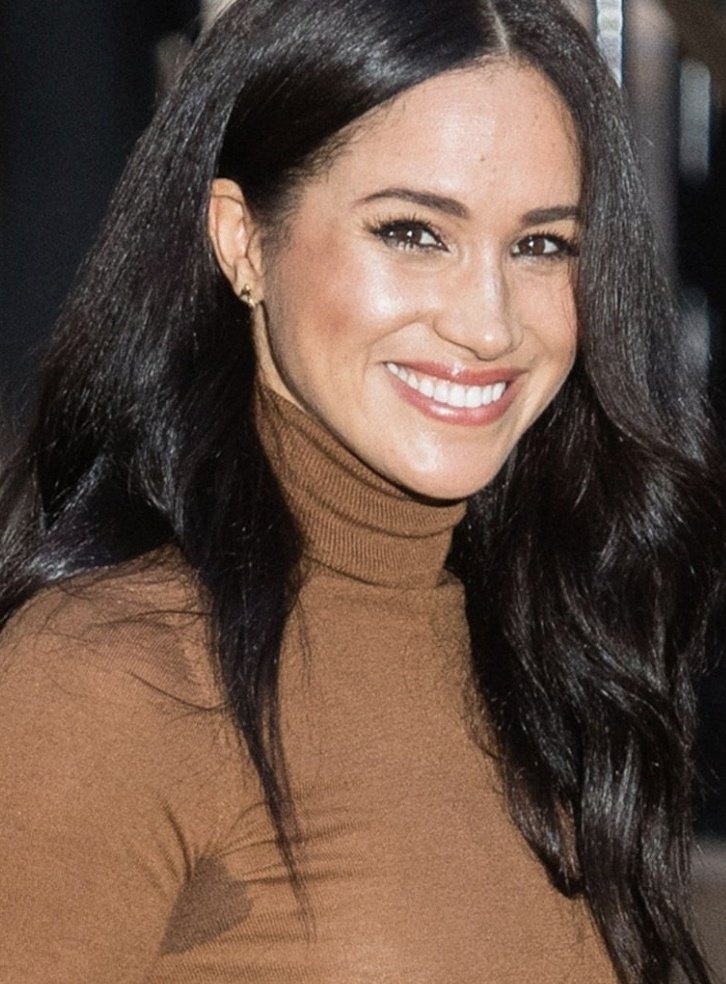 BullyMeghan's tweet photo. @Marwilson @KarenA790145758 @harpersbazaarus The pizza under her arm https://t.co/LnLBJuZhIj