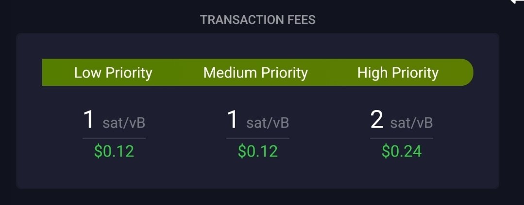 CapivaraCorp's tweet image. Nada de pânico.