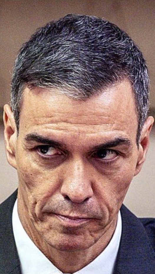 GuillermoRocaf1's tweet photo. Se está consumiendo por el MAL y el ODIO 👇 @sanchezcastejon 🧐 https://t.co/932NPJbX0G