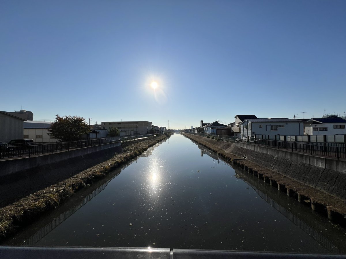 miki_mfb's tweet image. 晴れです☀️