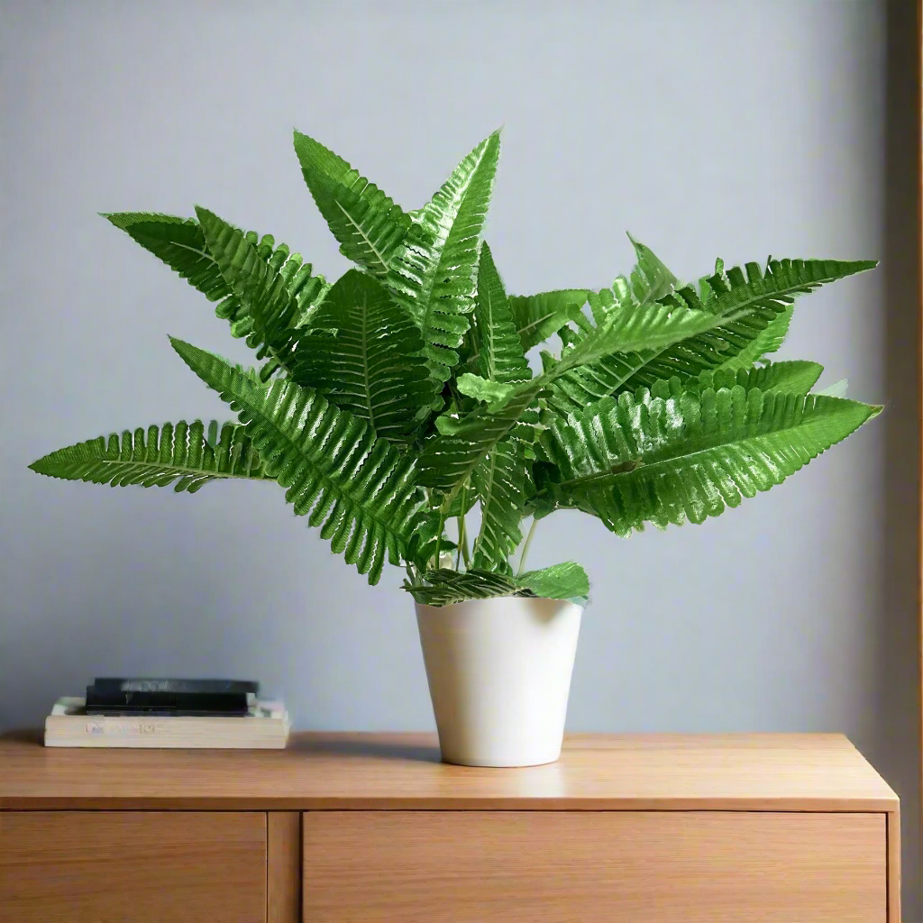 ArtificialDevon's tweet image. Check out Artificial 30cm Boston Fern Bush devonartificial.co.uk or ebay.us/m/vkb5of #artificialflowers #fauxflowers #homedecor #shopdecor #hoteldecor #cafedecor #flowers #theatreprops #movieprops #scenery #christmas #christmas2025