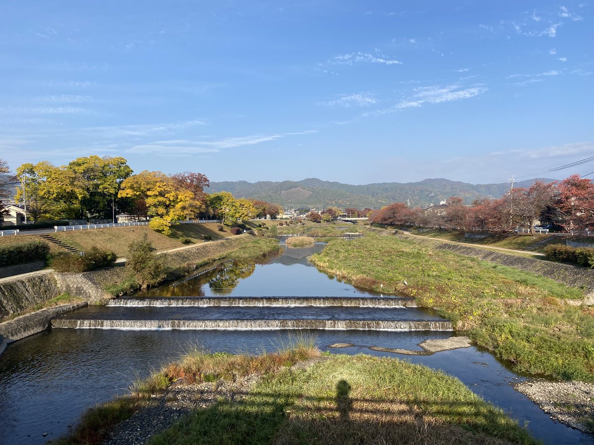 kamokamokai's tweet image. 今日の賀茂川。
2025年11月21日
#Kyoto #kyokamo #鴨川 #京都