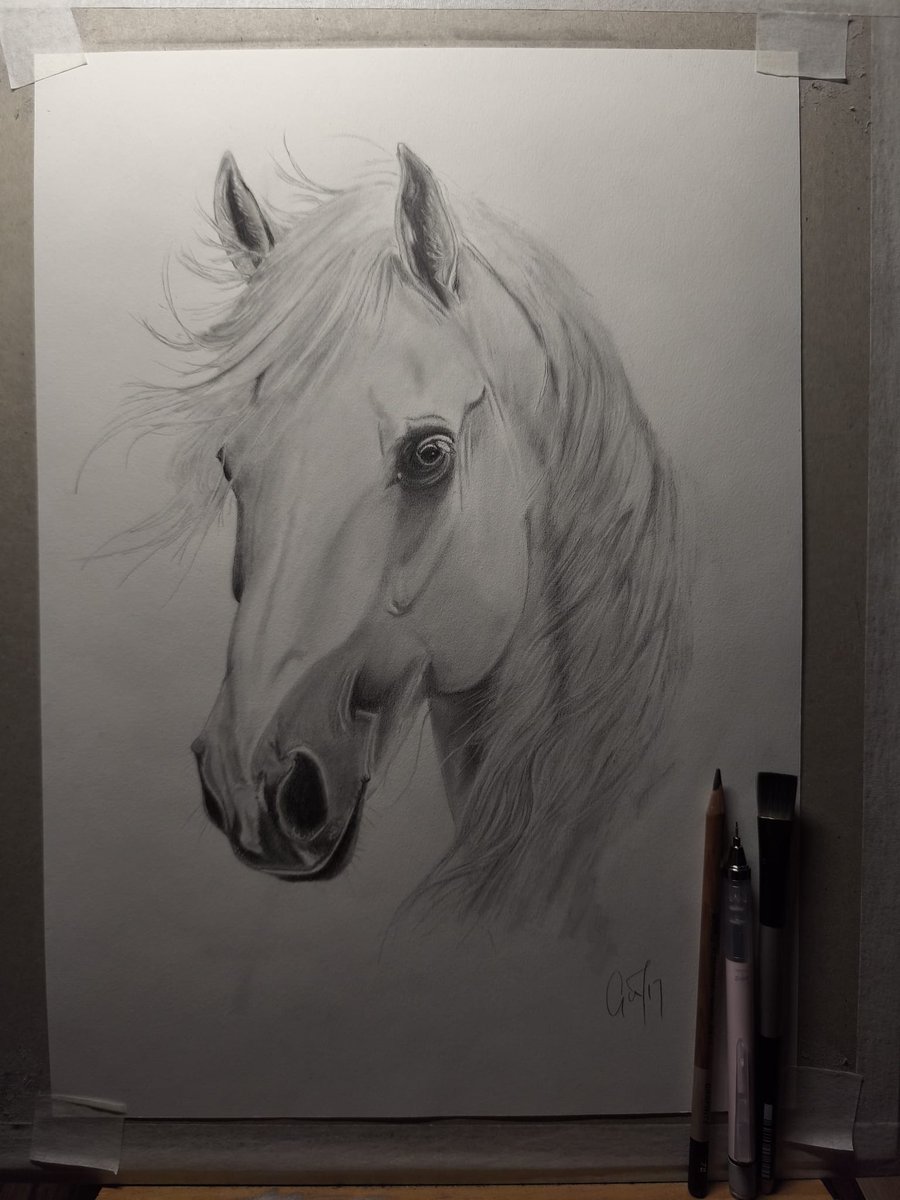 alshdhye30ud's tweet photo. Is this a photo or a pencil sketch? See if you can tell My friend's talent is absolutely incredible Drop your guess in the comments😃😃😃 https://t.co/KnTdv2KDnJ