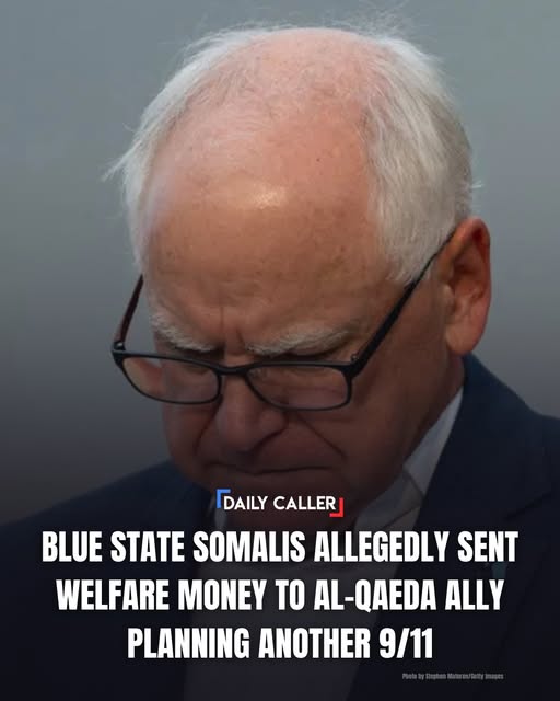 RickyDoggin's tweet photo. Welfare fraud by Minnesota’s Somali population funneled taxpayer money to the Islamic terrorist organization Al-Shabaab. https://t.co/xxAjQgnbQq