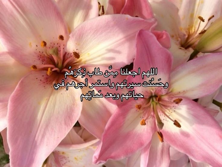 اذكار ᥫ᭡ (@ad3yahwquran) on Twitter photo 