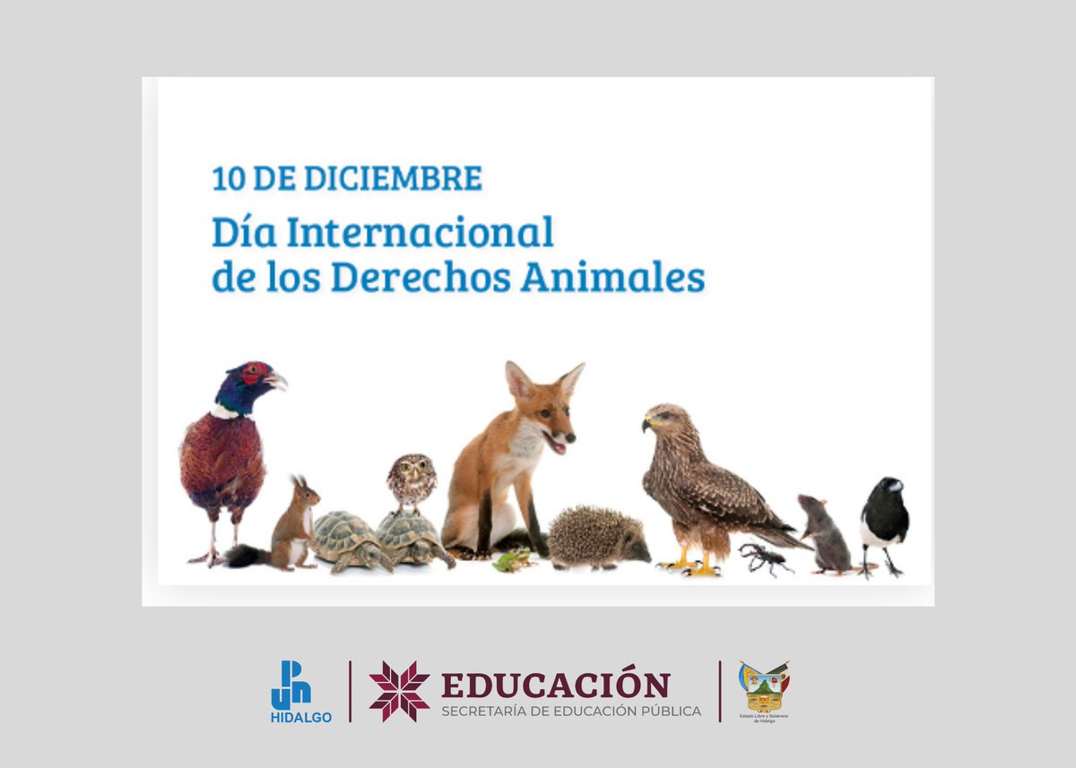 🐾Día Internacional de los Derechos de los Animales

Hoy levantamos la voz por quienes no pueden hacerlo con palabras, pero sí con presencia, vida y sensibilidad.

Porque la educación también implica empatía, ética y respeto por todas las formas de existencia.