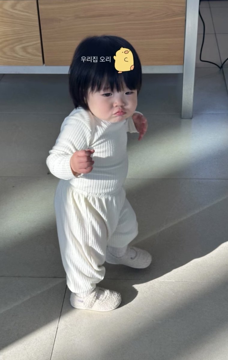 boookwarm tweet picture
