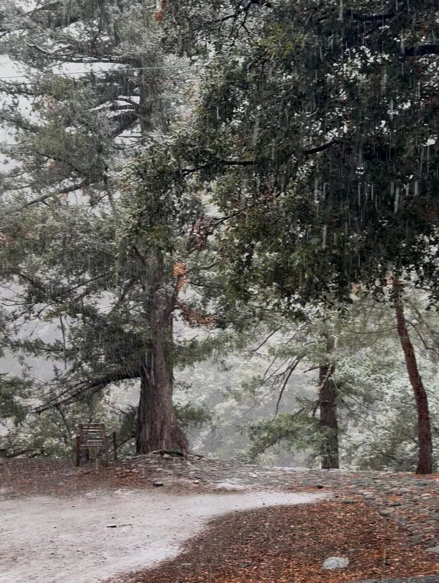mtbaldymom's tweet photo. Mt. Baldy has been kissed by #snow at 6200 feet #mtbaldy #snowinthe909 https://t.co/AfdcSLEQtY