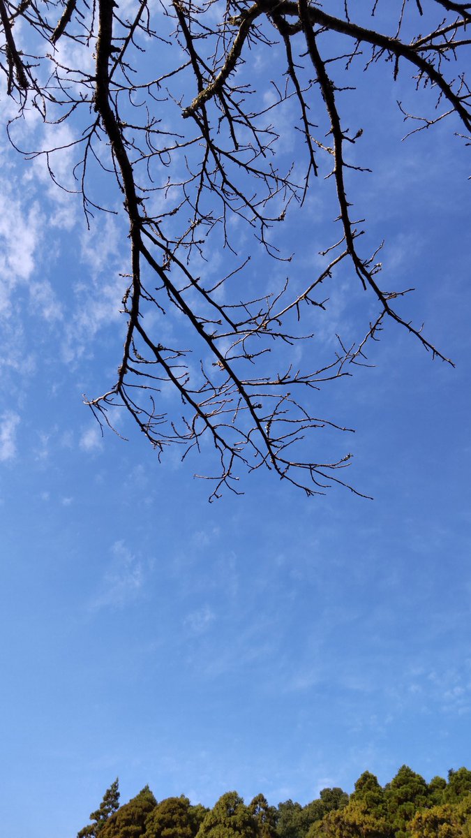 おはようございます。