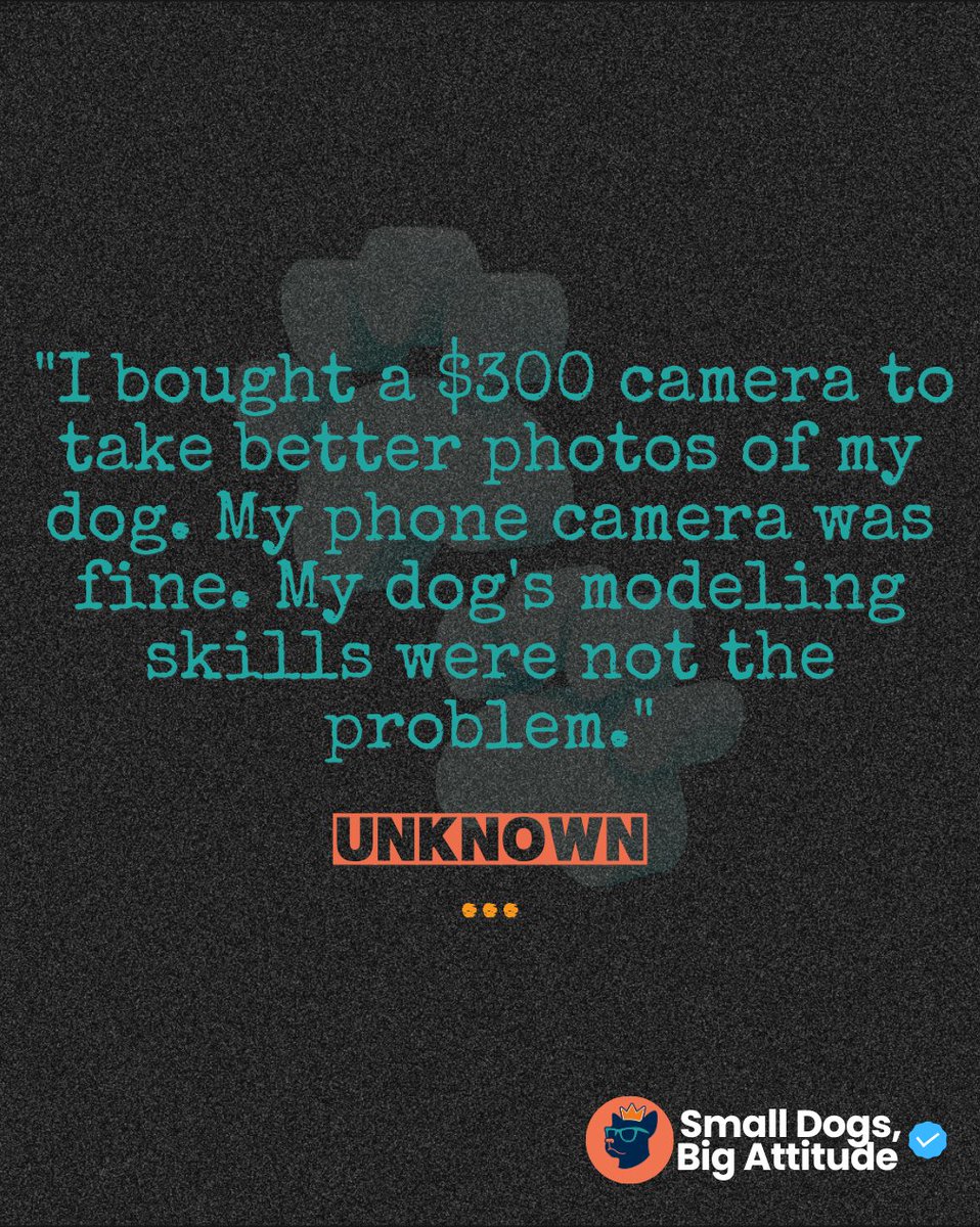 SmlDogs_BigAtti's tweet image. &quot;Bought $300 camera for better dog photos. Phone camera fine. Dog&apos;s modeling skills were the problem.&quot; — Unknown #DogQuotes #ModelingSkills #Unknown