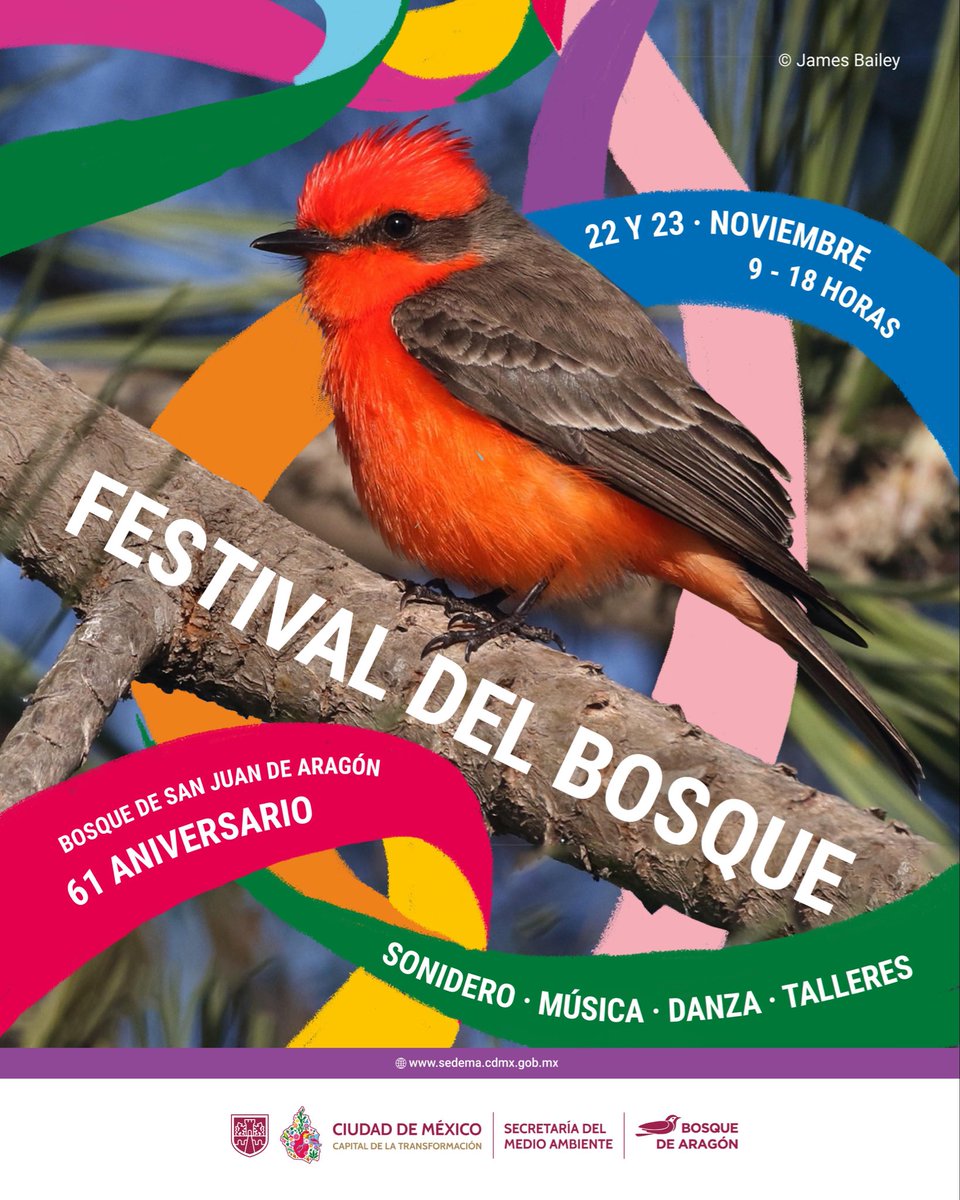 SEDEMA_CDMX's tweet image. ¡Te invitamos a celebrar el 61 aniversario del Bosque de San Juan de Aragón!

Disfruta un fin de semana con música y actividades lúdicas. Consulta la cartelera y asiste con toda la familia.

1/2🧵