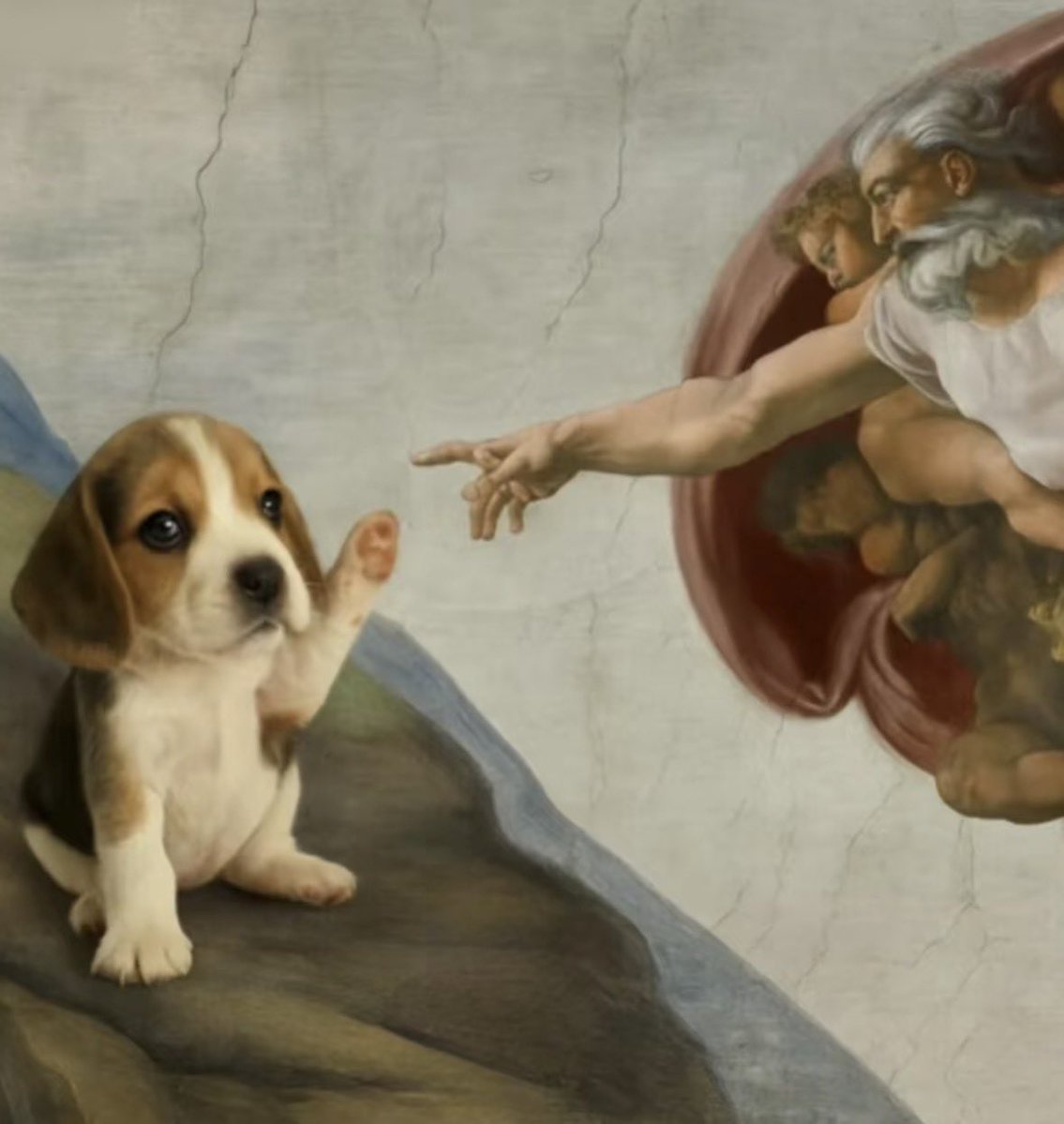 💖 (@twaniimals) on Twitter photo 