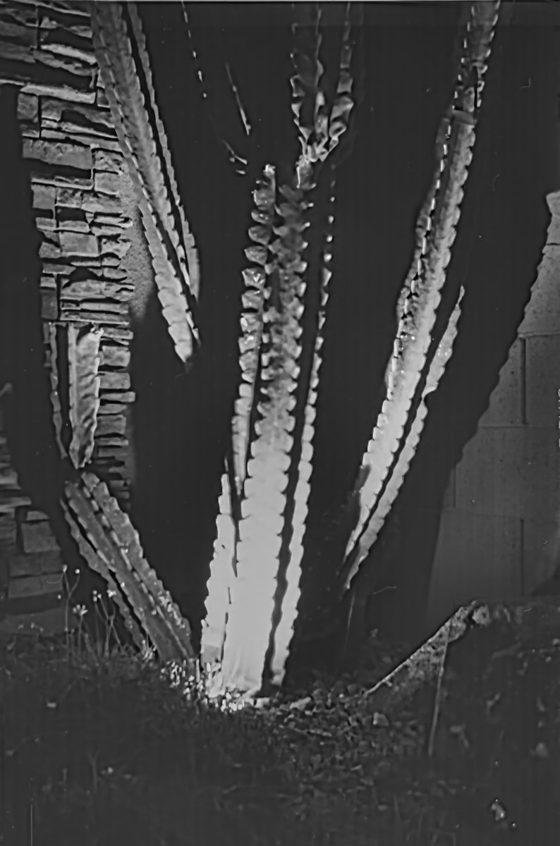 BIGRICK_XLDJ's tweet photo. Stormy day in #Vegas
1st roll in 1950s Agfa Synchro Box #camera. I messed up with the shutter - I used "bulb" the long exposure not the regular
yellow filter
Luminar NEO edits
Home developed
They are ok but don't pixel peep!
#Photography
#film
#vintagecamera
#boxcamera https://t.co/1JqNTyQSNy