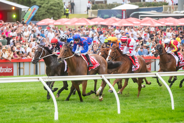 SENGiddyUp's tweet photo. LISTEN | Weekend Preview &amp; Best Bets - Kembla Grange &amp; Cranbourne

@M_Gannon_, @deanwatling &amp; @BenCaluzzi joined @ghall27 for the weekend preview to cover the key races this weekend at Kembla Grange &amp; Cranbourne.

https://t.co/aPH18yEWBV https://t.co/MoRisEVKqr