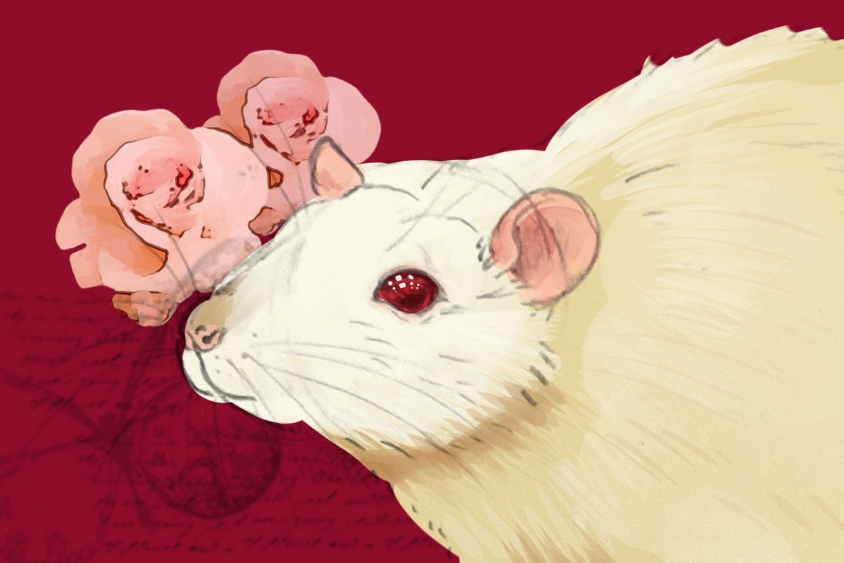 srslysansy's tweet image. hey my work just like. didnt pay me today soooo commisions open i can do them for as little as  $2 reposts appreciated, i really need the money right now. #commision #undertale #deltarune #utdr