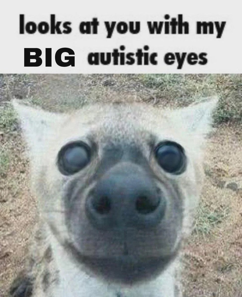 bluefolf's tweet image. 