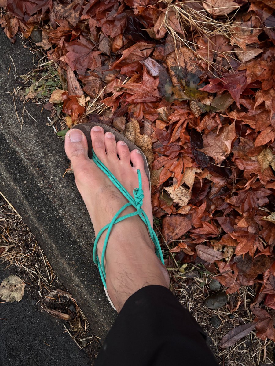 hooplus_matsu's tweet image. 今朝は2度もあったので、6時前から久しぶりのワラーチジョグ。やっぱりこの開放感＆軽さは唯一無二です。

昨夜は、TOPページ改修の本アップで沼ってました。確実な点から検証を重ねなんとかクリア🙌

いや～焦った。環境差異を吸収できるコードの大切さを痛感。

 #WEB制作 #デイトラ #RyoHack