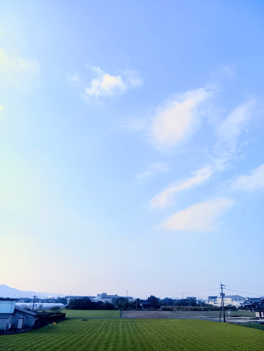 sankohouse's tweet photo. 11月21日（金）晴れ☀️
本日もよろしくお願いします！ https://t.co/vSMwf65BcV