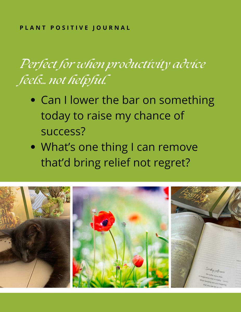 strongbodygreen's tweet image. 🎯 The Gentle Wins Reframe.
“What would “productive&quot; look like today if I removed guilt and pressure from the equation?”
🌱✨Reflection made easy with The Plant Positive Journal. 
strongbodygreenplanet.lpages.co/plant-positive…
#Journal #Mindfulness #SelfReflection #DailyHabits #WellnessJourney