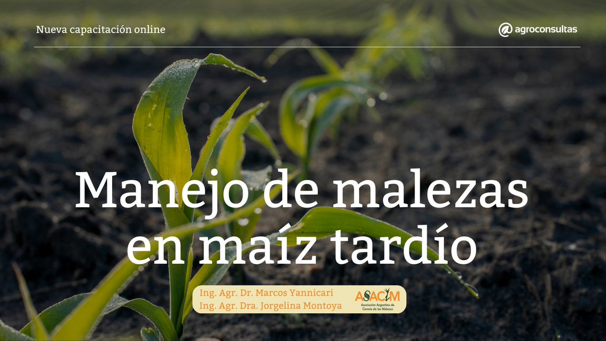 En alianza con <a href="/ASACIM_Malezas/">ASACIM</a> 🤝🏻 lanzamos esta nueva capacitación 🌱🚀 

A cargo de <a href="/maryanniccari/">Marcos Yanniccari</a> y Jorgelina Montoya

✅ Manejo de malezas en maíz tardío 

Mirala donde, cómo y cuando quieras👨🏻‍💻

👉🏻 agroconsultas.online/2PzPHS

Suscribite ahora mismo😉💚

#capacitateenagroconsultas