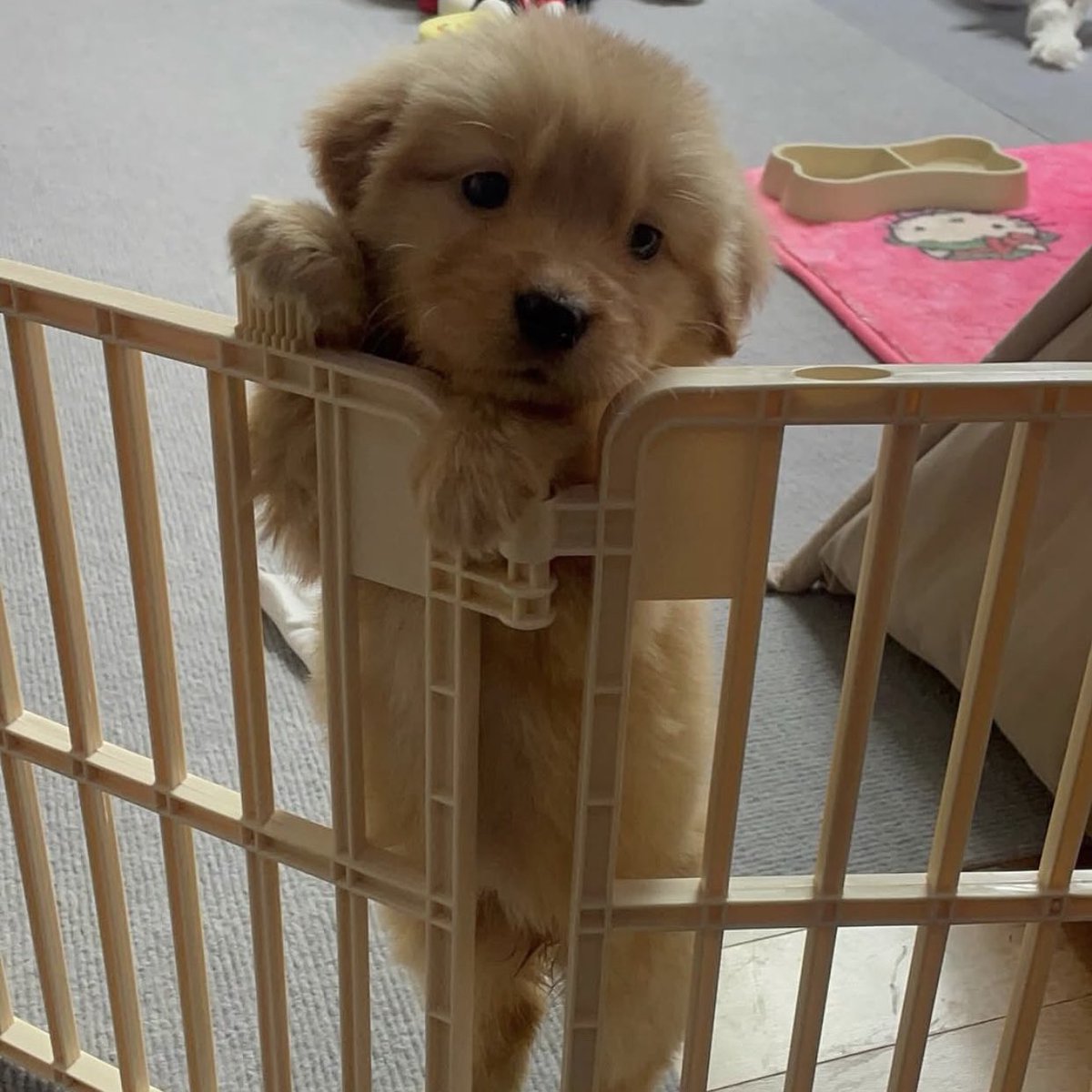 หนาวมั้ยค่าบคนสวย ถ้าโสดกอดฟรีน้า