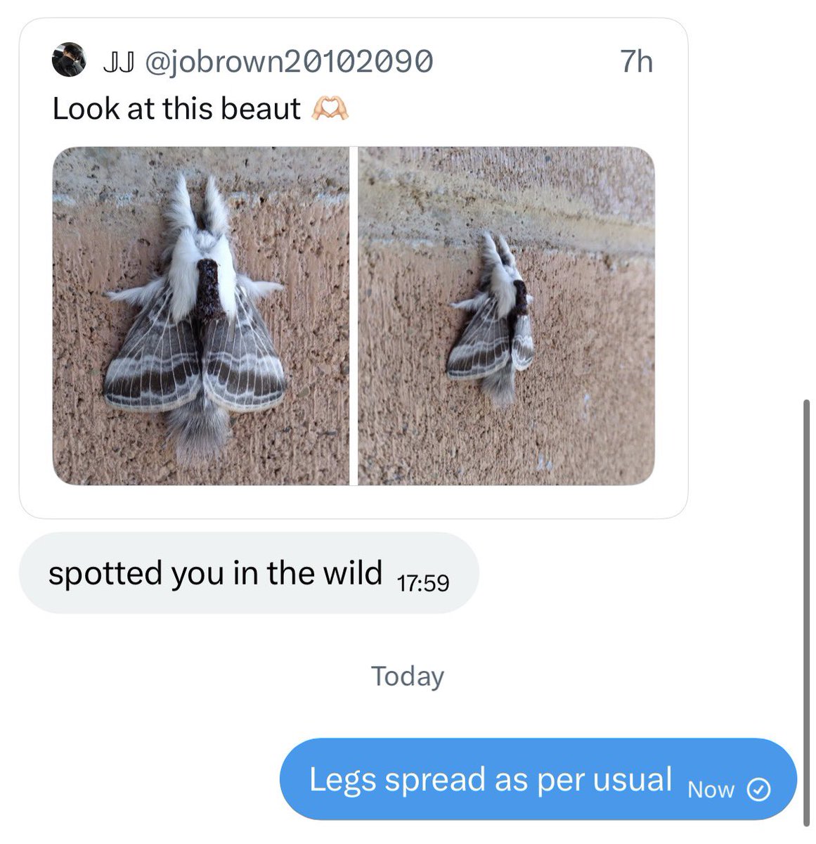 ﾟ✧ﾟ: * emi *:✧ﾟ (@kvwviiju) on Twitter photo 