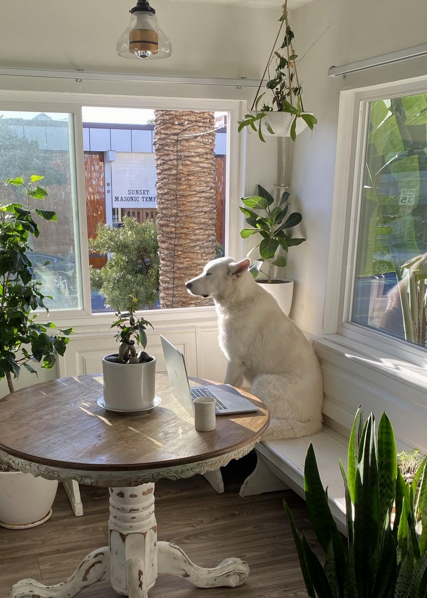 RoomPlannerd's tweet image. Hit follow button for more decor ideas 🏠