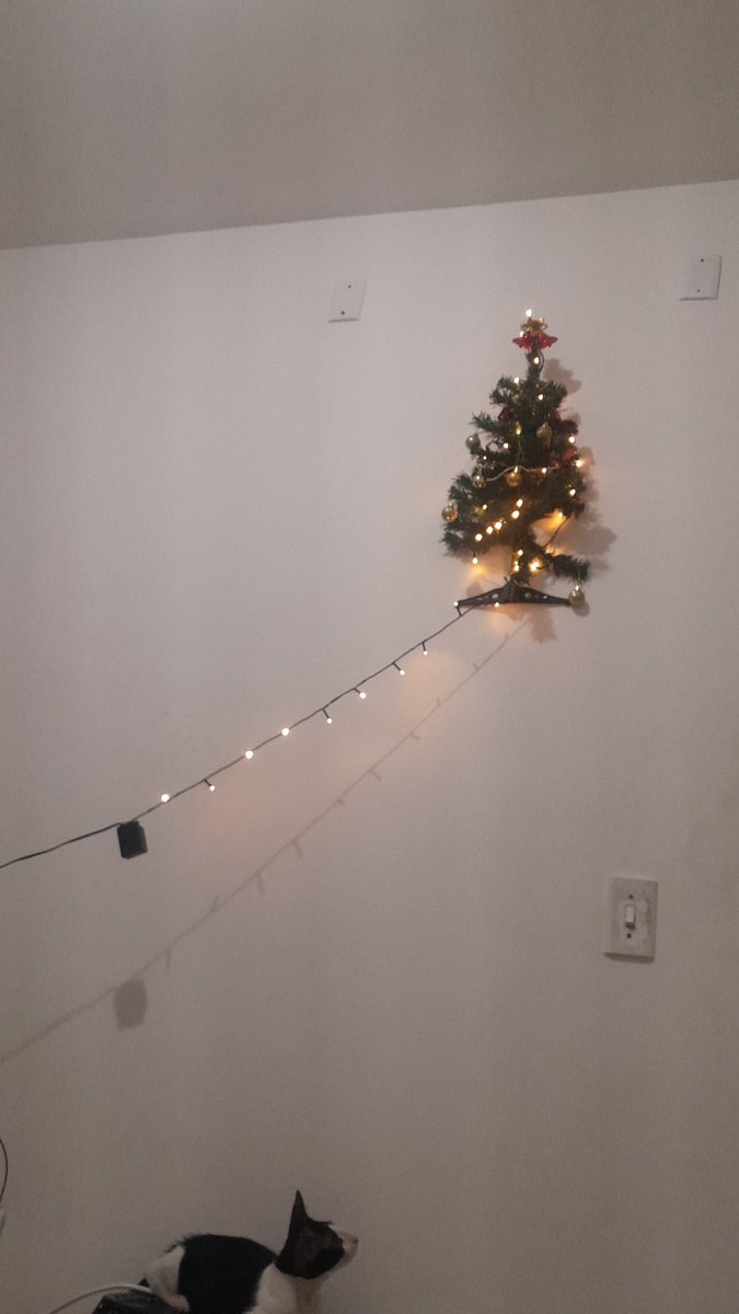 devgeisa's tweet image. A ânsia de ter