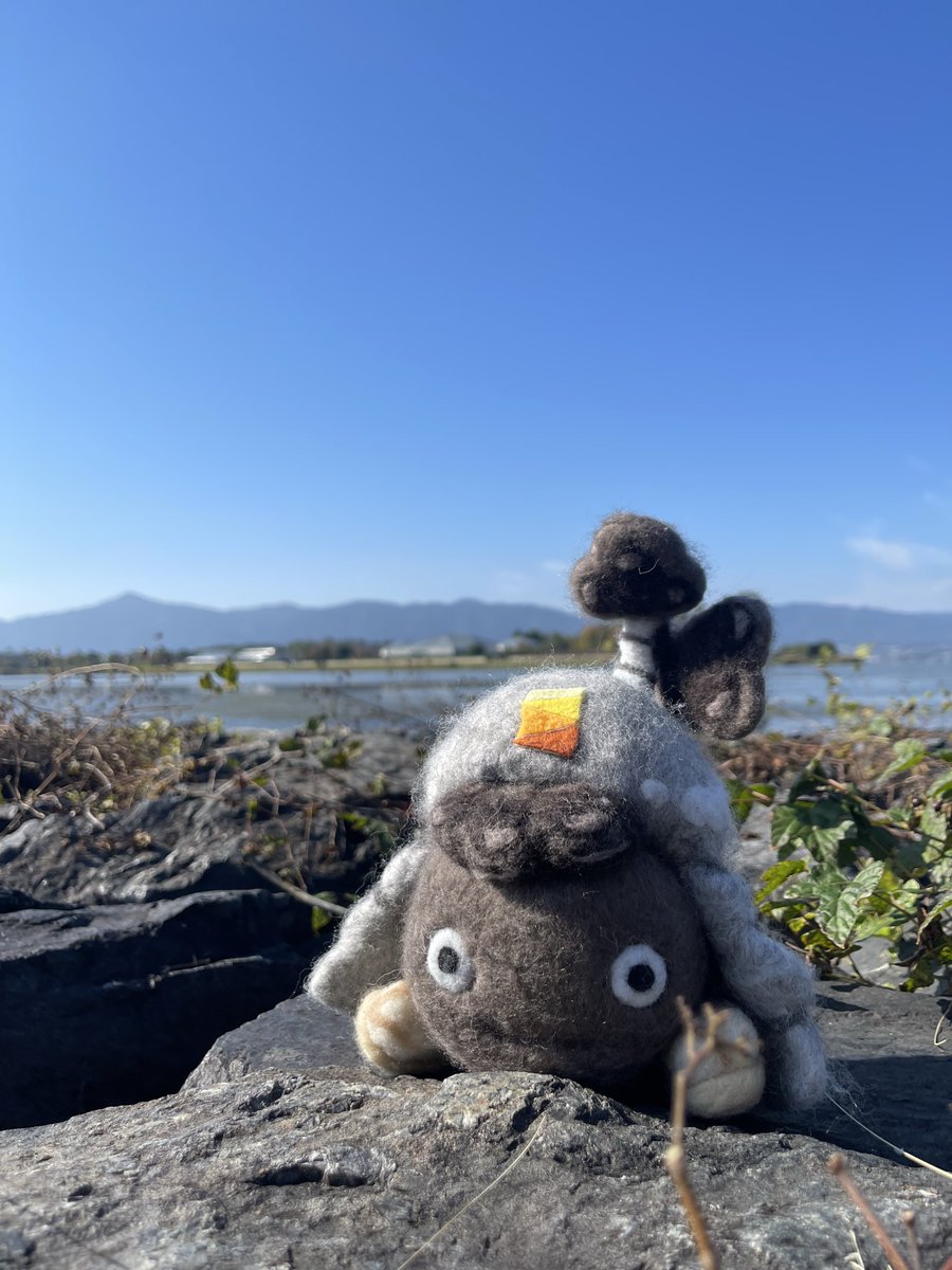 sumaidia_jp's tweet image. おはスマ☀️

本日もいい天気ですね☀️
今日は琵琶湖沿いで日向ぼっこをする
ぷり丸をお届け🌱

今週も今日でラストですね！
頑張っていきましょう🙌
よろしくお願いします🙌

#企業公式相互フォロー 
#企業公式さんと繋がりたい
#びわこ