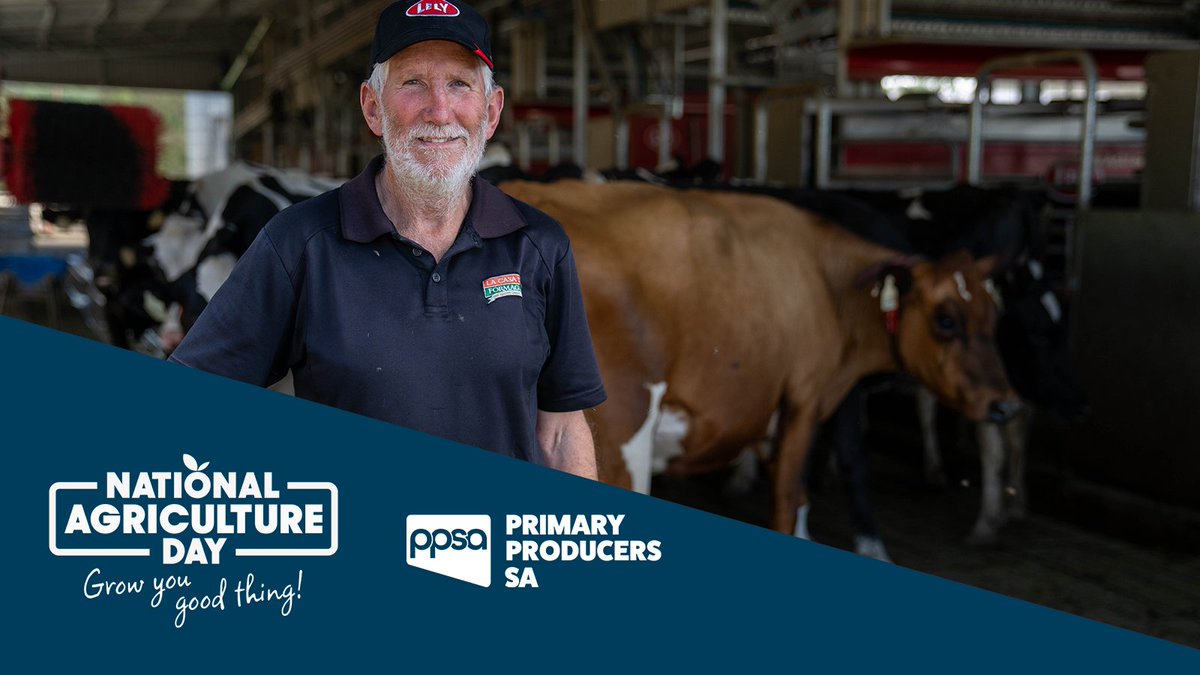 Primary Producers SA tweet media