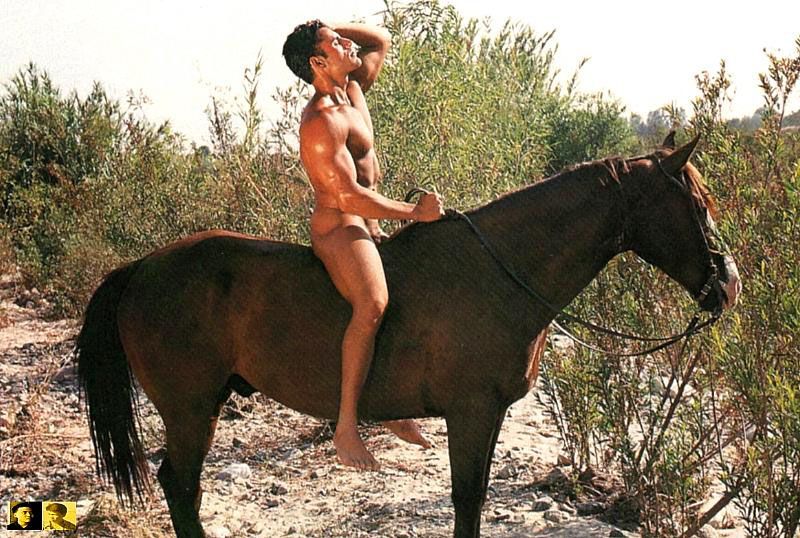 Reading list: The Horse Tribe of the Celts - lust and betrayal in an ancient time. 
buff.ly/3FauD0V