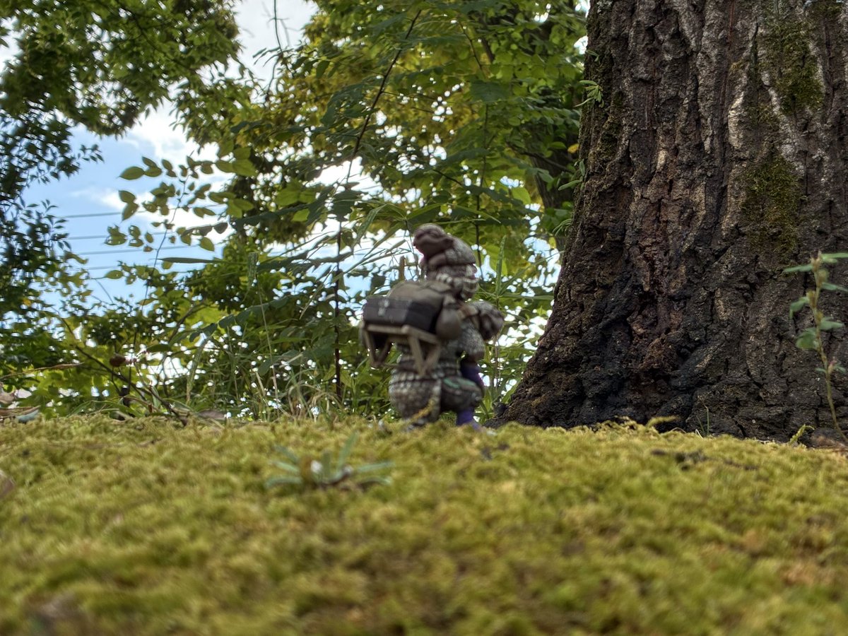 mesonosuke's tweet image. おはようございます