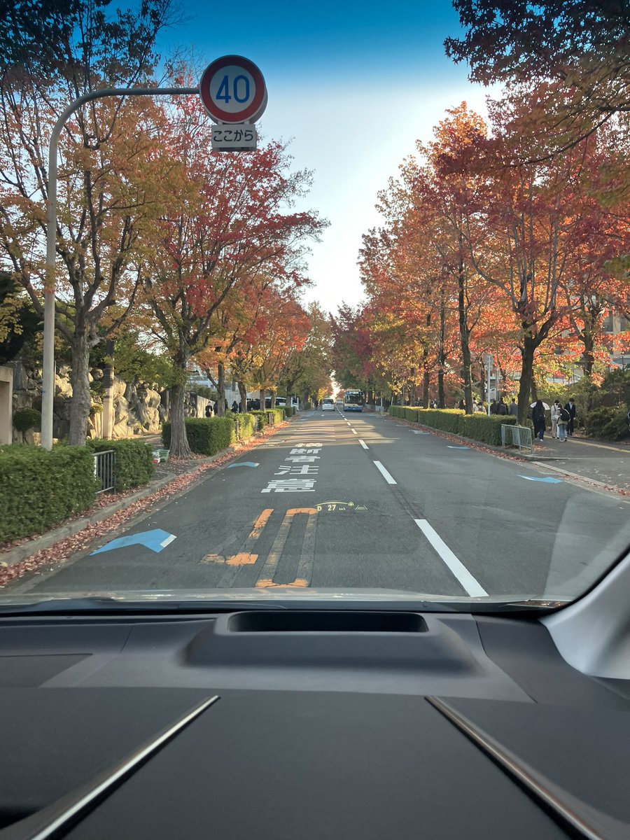 to_michael's tweet image. 今朝の三色彩道、
見頃かな🍁🌲