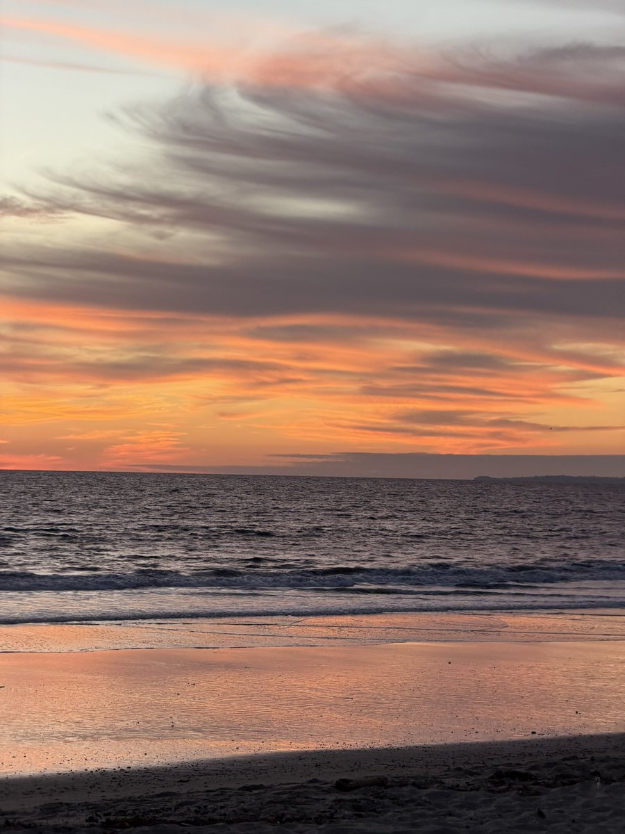 Peyton Womock tweet media