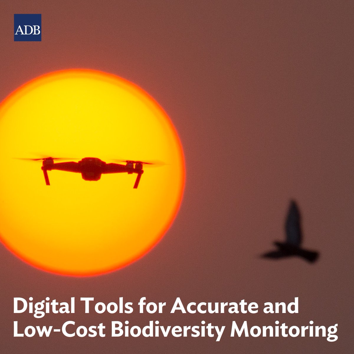 DevelopmentAsia's tweet image. The devt of cutting-edge tech &amp;amp; rise in computing power have paved the way for a wide range of scientific applications in biodiversity monitoring.
READ about digital tools that minimize costs &amp;amp; time spent for gathering biodiversity info.
development.asia/explainer/digi…
@ADBEnvironment