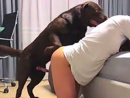 KnottyMort's tweet photo. Favorite zoo slut👇🔞
https://t.co/gpyGtQNPe7
#Beastiality #Zoophilia
#Doggirl #Horsegirl
#Animalporn #Animalsex
#ZoopornPREMIUM #bestiality #doglover #dogknotting #dogsex #knotty #zoosarevalid #zooprideisvalid #beastiality #dogknot #zoophile  #zoophillia #germany #Australia https://t.co/QswIwEshEJ