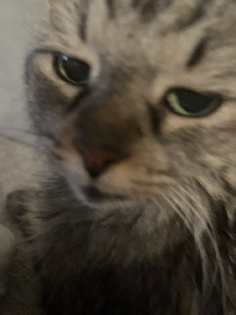 goodgirljuliee's tweet image. Goncerned