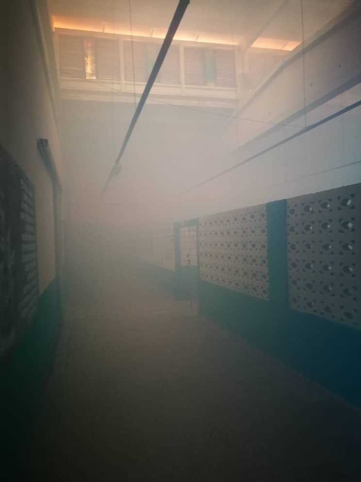 Como parte de las estrategias trazadas por nuestra empresa debido a la actual situación epidemiológica por la que atraviesa nuestro país, se pone en práctica la fumigación para erradicar el vector causante de varias de las enfermedades que afectan a nuestros trabajadores.