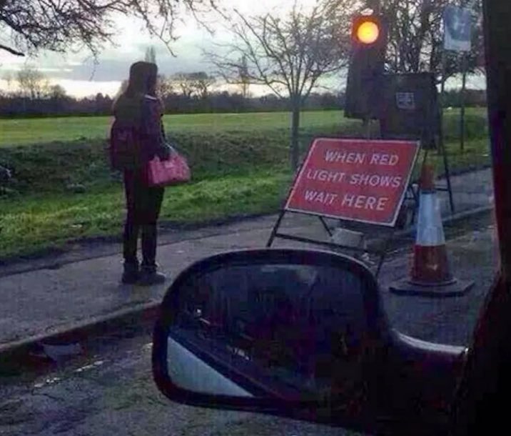 ᴛᴏᴍ 🌿🌻 tweet media