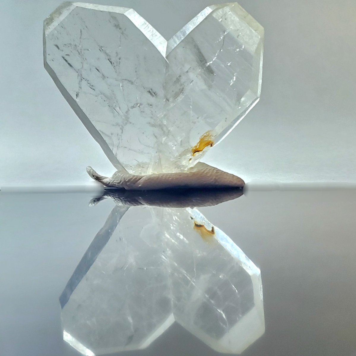 とある石垢(石禁中) (@eldpjvkede960m3) on Twitter photo 