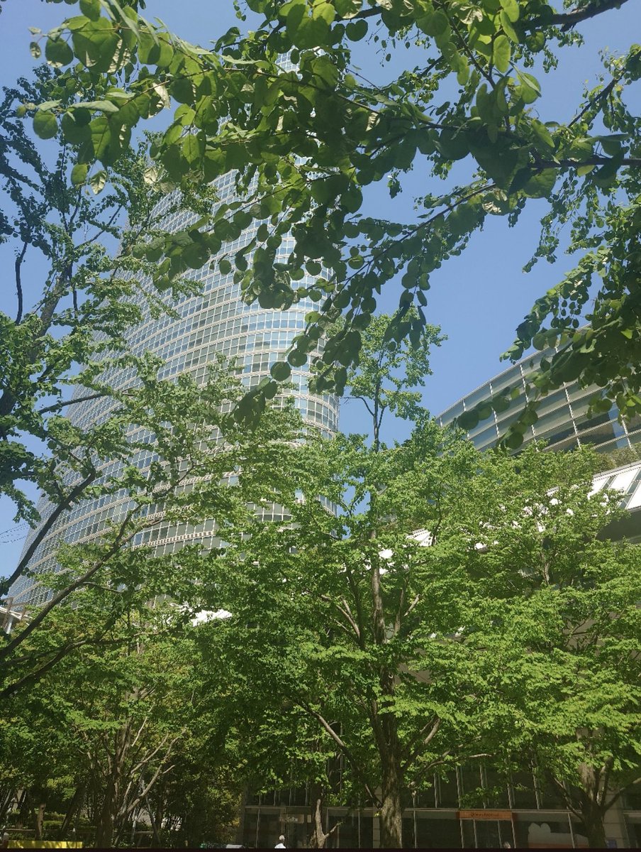 sysadgroup's tweet image. おはようございます🍛
心地良いお天気の日々が続いていますね☺️
#企業公式秋のフォロー祭り
#企業公式相互フォロー
#企業公式が朝の挨拶を言い合う
#企業公式が毎朝地元の天気を言い合う
#企業公式さんと繋がりたい
紅葉も綺麗ですが緑も美しいです💚
今日を終えれば3連休🙌✨…