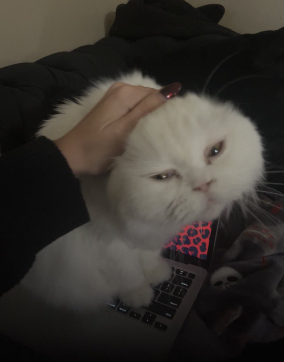 d1v1n3yay's tweet image. my ears… where’d they go….